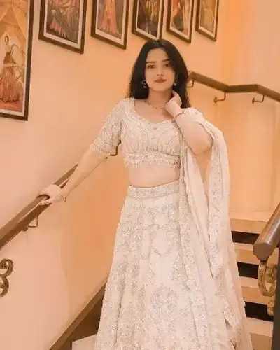 Escort Bhilwara